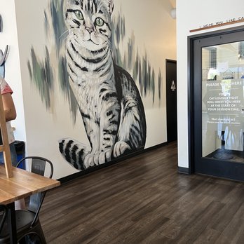 Cat & Craft - Cat art - Coffee & Tea Near Me - Vista, California Cat & Craft - Cat art - Coffee & Tea Near Me - Vista, California
