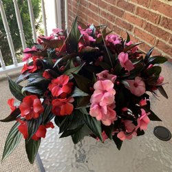 DUPREE'S ROOT 88 GARDEN CENTER & FLORIST - Updated August