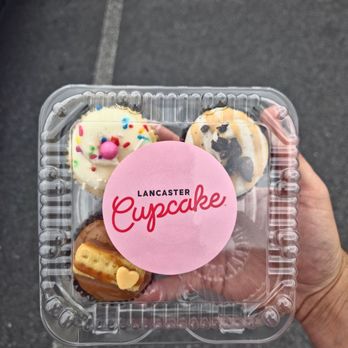 Lancaster Cupcake - Ice Cream & Frozen Yogurt Near Me - Lebanon, Pennsylvania