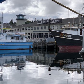 St. Jude Tuna - several boats docked in a harbor - Seafood Markets Near Me