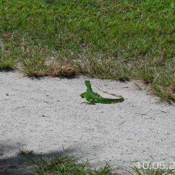 Bill Baggs Cape Florida State Park - Parks Near Me - Key Biscayne, Florida
