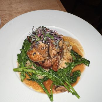 Hooper's Judge - American Near Me - Cohasset, Massachusetts