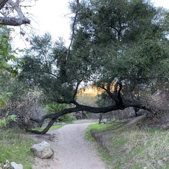 Red Rock Canyon - Plenty of trees / tree tunnel / shade - Hiking Near Me - Lake Forest, California