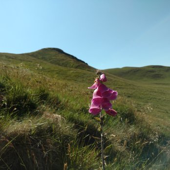 Pentland Hills Regional Park - Parks Near Me