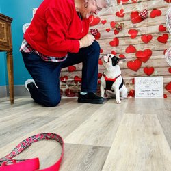 J & K Pet Services - Leanne & Tilly at intermediate group training graduation