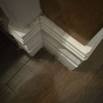 Love Bubbles Clean - Baseboards - Home Cleaning Near Me - Thornton, Colorado