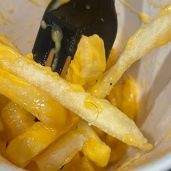 Hairy cheese fries
