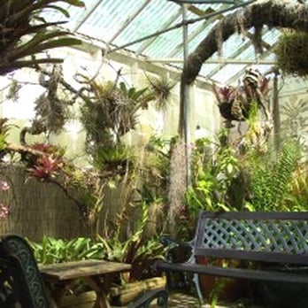 Shelldance Orchid Gardens - Perfect place to think. Among nature. - Nurseries & Gardening Near Me - Pacifica, California