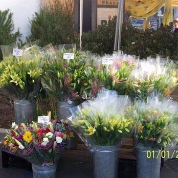 Skyline Flower Growers & Shippers - Florists Near Me - Oxnard, California Skyline Flower Growers & Shippers - Florists Near Me - Oxnard, California