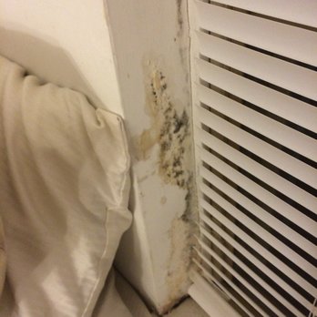 BEL AIR COURT APARTMENTS Updated July 2025 27 Photos 16 Reviews BEL AIR COURT APARTMENTS Updated July 2025 27 Photos 16 Reviews