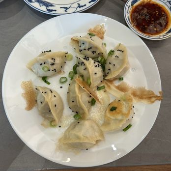 Dumpling Plus - Pork Shrimp Veg Dumplings - Pan Fried - Chinese Near Me - University City, Missouri