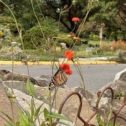Green Spring Gardens