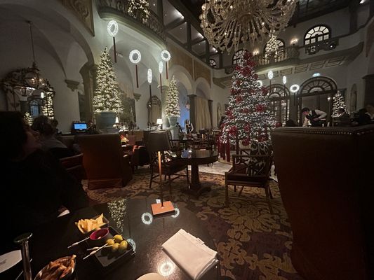 Winter Garden Bar by null