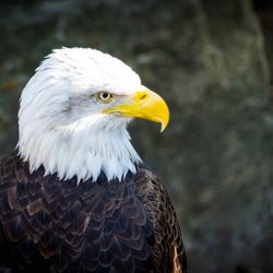 Louisville Zoo