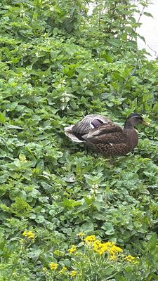 voco Oxford Thames by IHG by null