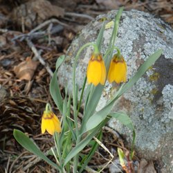 Dan Campbell - Amerimont Real Estate - It is warming up in Montana. Welcome back Spring!