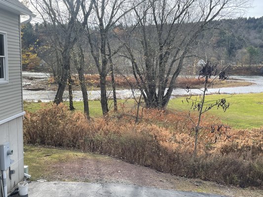 Callicoon Caffè by null