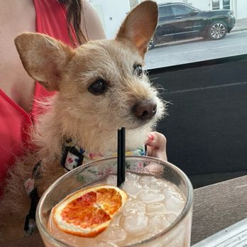Amigos 30A Mexican Kitchen - Blood orange margarita - Mexican Near Me - Inlet Beach, Florida