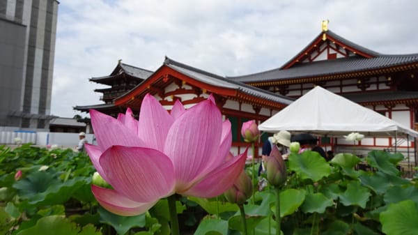 Yakushi-ji by null