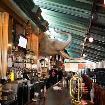 Tusker Bar - an elephant head hanging from the ceiling - Bars Near Me - Cheyenne, Wyoming Tusker Bar - an elephant head hanging from the ceiling - Bars Near Me - Cheyenne, Wyoming