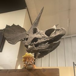 World Fossil Finder Museum