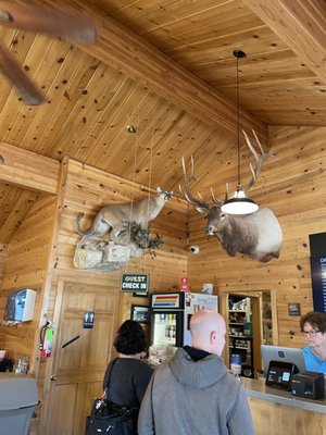 Bryce Canyon Coffee Co. by null