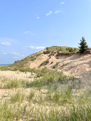 Sleeping Bear Dunes National Lakeshore by null