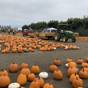 McGrath Brothers Great Pacific Pumpkins - Hay ride - Pumpkin Patches Near Me - Ventura, California McGrath Brothers Great Pacific Pumpkins - Hay ride - Pumpkin Patches Near Me - Ventura, California