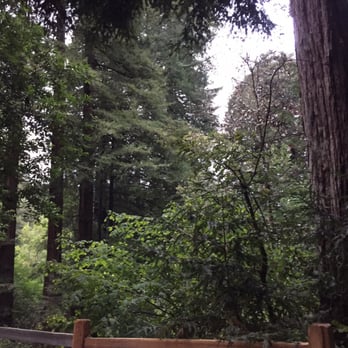 Samuel P Taylor State Park - Peaceful - Parks Near Me - Lagunitas, California Samuel P Taylor State Park - Peaceful - Parks Near Me - Lagunitas, California