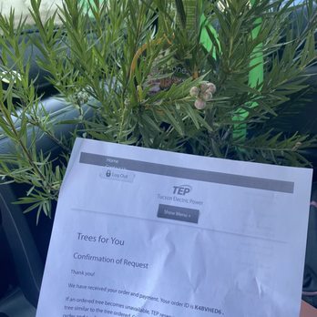 Eco Gro - Tucson Electric Power tree program- let me pick trees and locations- I picked ecogrow - Nurseries & Gardening Near Me - Tucson, Arizona Eco Gro - Tucson Electric Power tree program- let me pick trees and locations- I picked ecogrow - Nurseries & Gardening Near Me - Tucson, Arizona