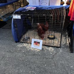 San Juan Capistrano Greek Festival