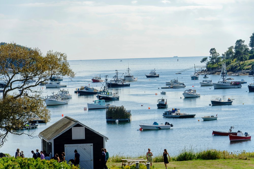 JOHNSON FIELD PRESERVE AND MACKEREL COVE Updated September 2024 17