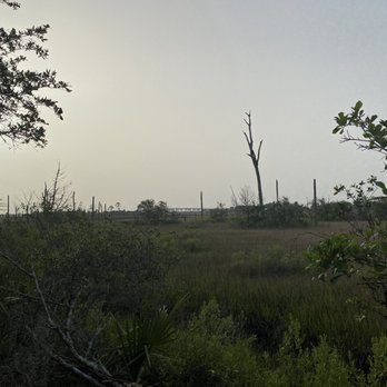 Cradle Creek Preserve - Parks Near Me - Jacksonville Beach, Florida