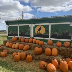 Ditzler Orchard