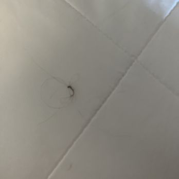 Kalahari - Hair in the bed - Resorts Near Me - Sandusky, Ohio Kalahari - Hair in the bed - Resorts Near Me - Sandusky, Ohio