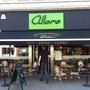 Alloro