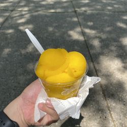 Relish Chicago Hot Dogs