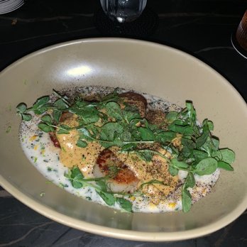 Eating House - Scallops in a Banana Curry - Beer, Wine & Spirits Near Me - Miami, Florida Eating House - Scallops in a Banana Curry - Beer, Wine & Spirits Near Me - Miami, Florida