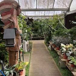 Big Greenhouse - Love this place