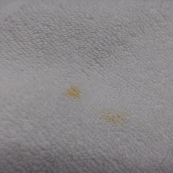 Stay Beyond Inn & Suites - Stains on the towels - Hotels Near Me - Elma, Washington