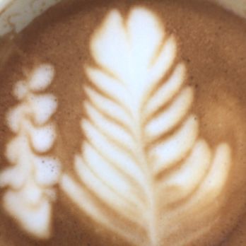 Commonwealth Joe - Skim Latte - Cafes Near Me - Arlington, Virginia Commonwealth Joe - Skim Latte - Cafes Near Me - Arlington, Virginia
