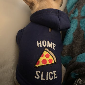 Open Arms Rescue - Hugo in his favorite jacket - Pet Services Near Me Open Arms Rescue - Hugo in his favorite jacket - Pet Services Near Me
