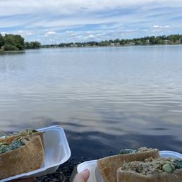 Falafel Sandwich by the water - Two hands hold plates with falafel wraps over a rocky shoreline by a lake, with a cloudy sky and distant trees in the background.