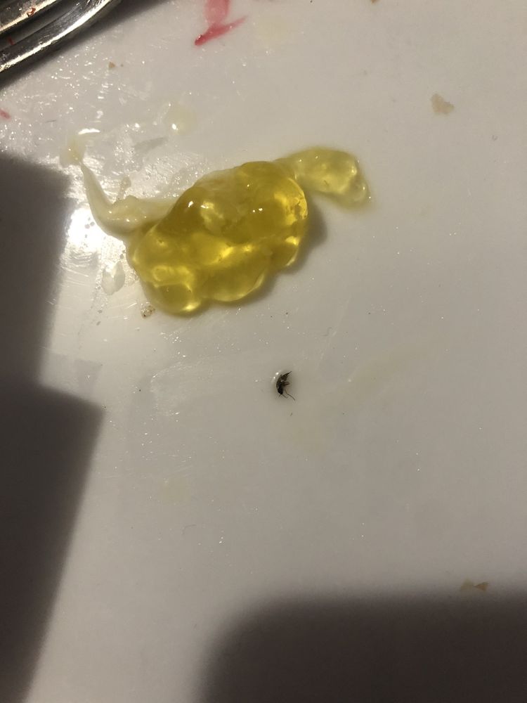 YI KITCHEN Updated August 2024 15 Reviews 5094 Rte 22, Amenia