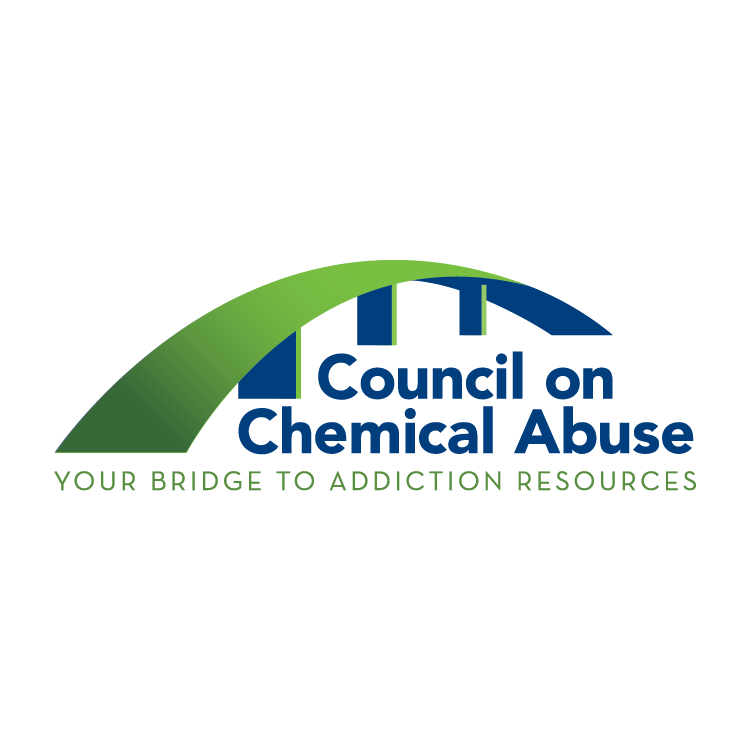 Council On Chemical Abuse - social services organization in Reading, PA