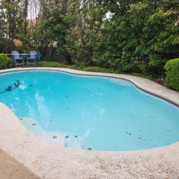 I love my back yard again