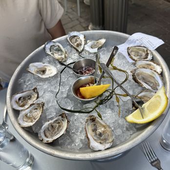 Tempest Oyster Bar - Oysters - Bars Near Me - Madison, Wisconsin