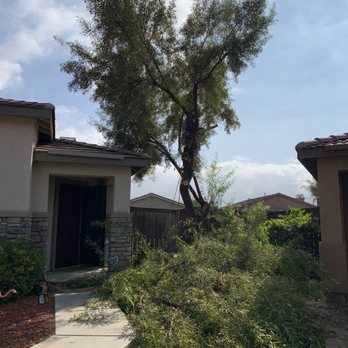Ortega's Jr Tree Service - Tree Services Near Me - Riverside , California Ortega's Jr Tree Service - Tree Services Near Me - Riverside , California
