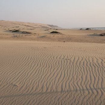 Rancho Guadalupe Dunes Preserve - Beaches Near Me - Guadalupe, California Rancho Guadalupe Dunes Preserve - Beaches Near Me - Guadalupe, California