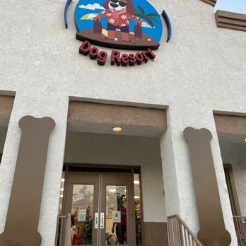 St Marks Dog Resort - Pet Boarding Near Me - Rancho Cucamonga, California